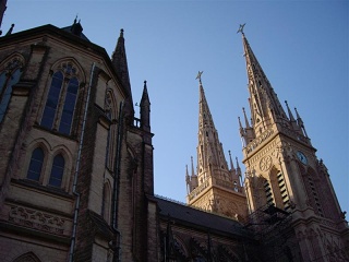 Lujan - Basiliek (1)